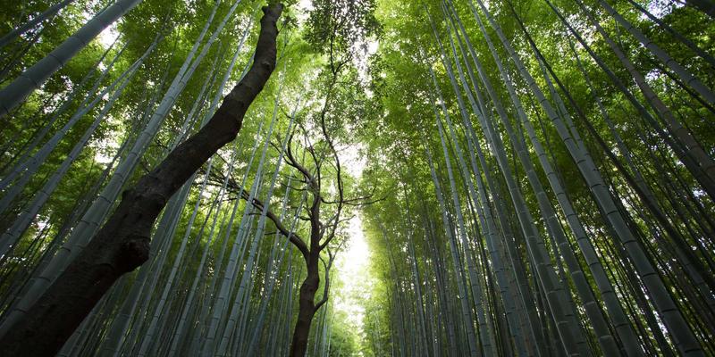 旋挖钻机钻杆关键配件磨损监测与预防性更换策略 | 北京京龙工程机械配件专家指南