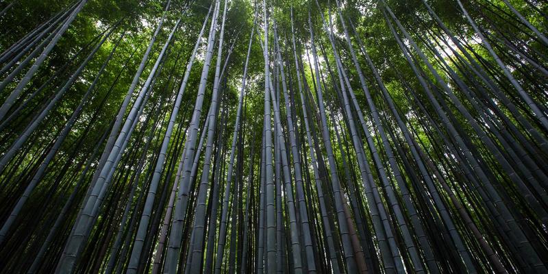 盾构机刀具管理全流程解析：从刀盘配置到现场更换的实战指南
